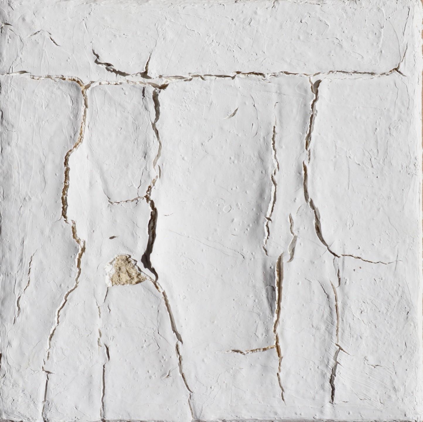 Renaissance 21 (Experiment 21)