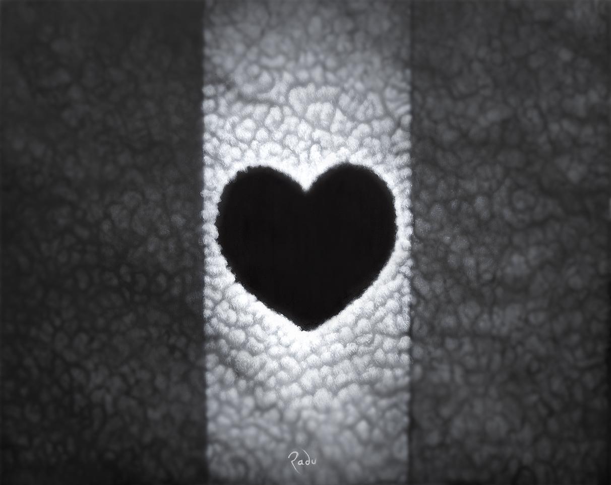 The hole in my country (1989)