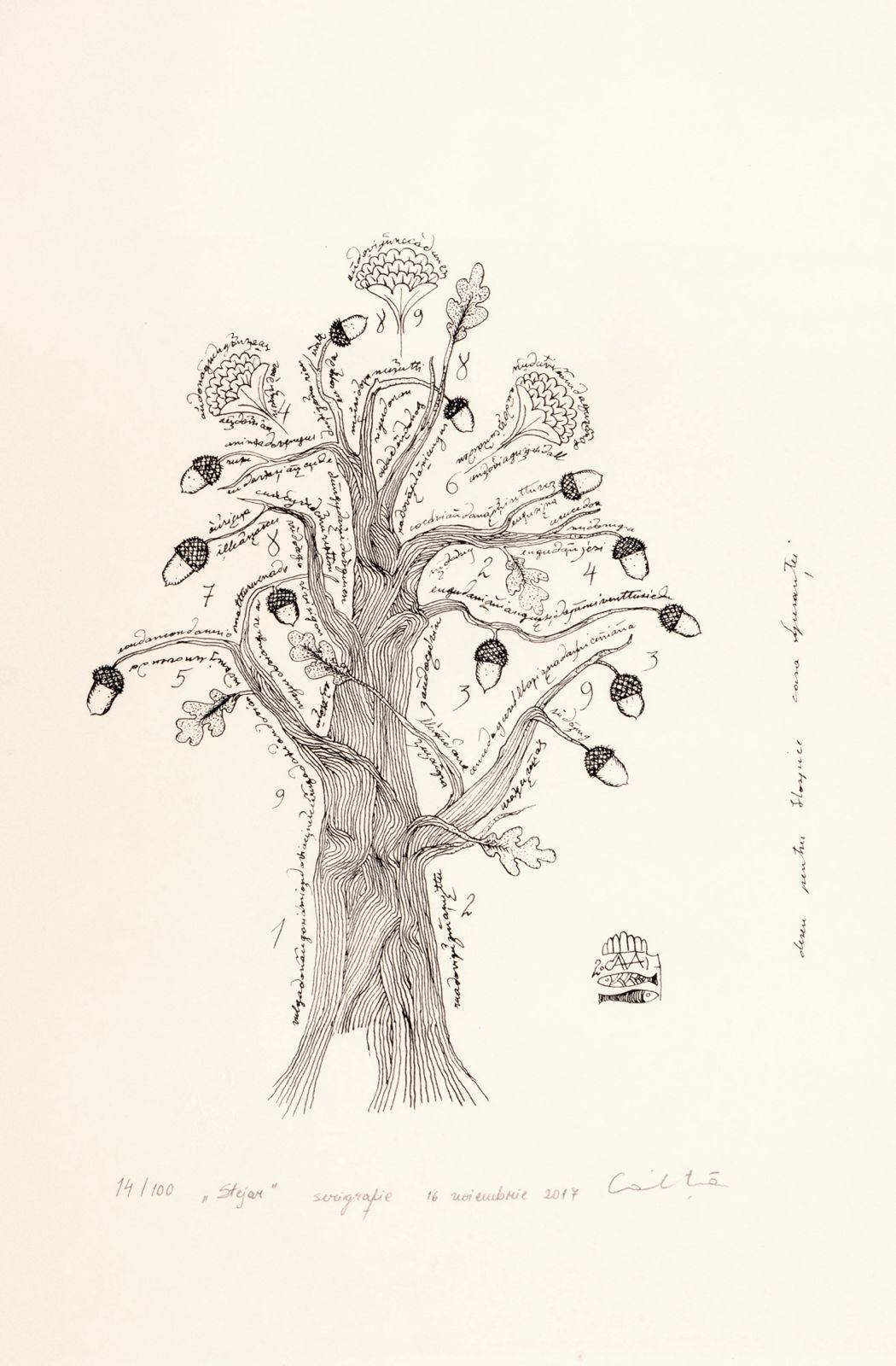 Oak